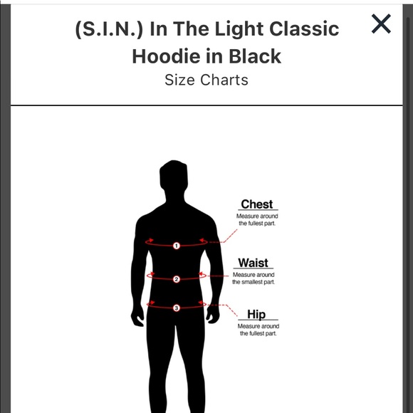 Strength in Numbers 🐺 Civil Regime hoodie 💪 - Picture 5 of 7